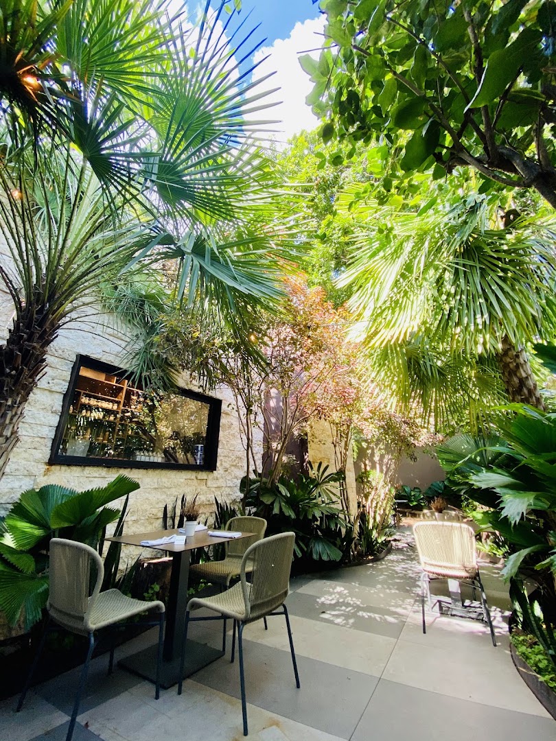 Terraza con palmeras — Ajuala