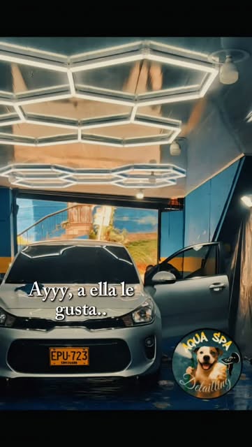 Aqua Spa Detailing — estética y detallado automotriz