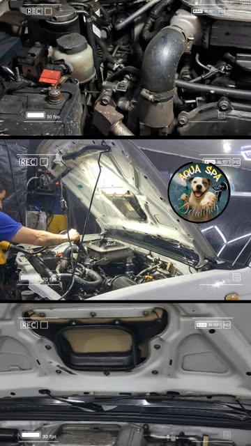 Compartimiento de motor limpio