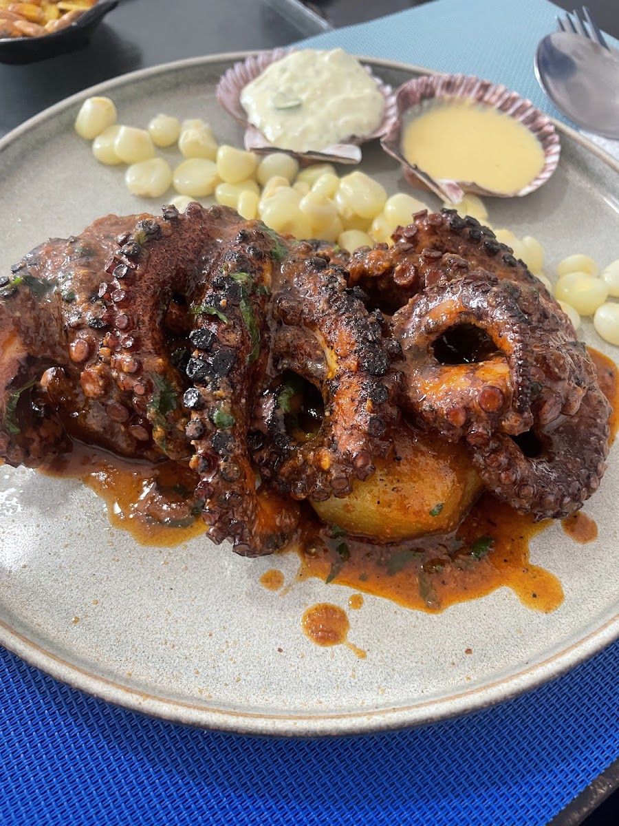 Pulpo dorado — Cev. Muelle Dorado y sus Conchas Negras