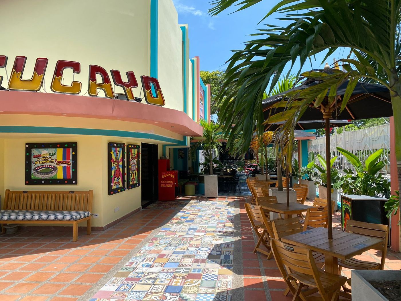 Terraza con palmeras — Cucayo - Cocina De Aquí
