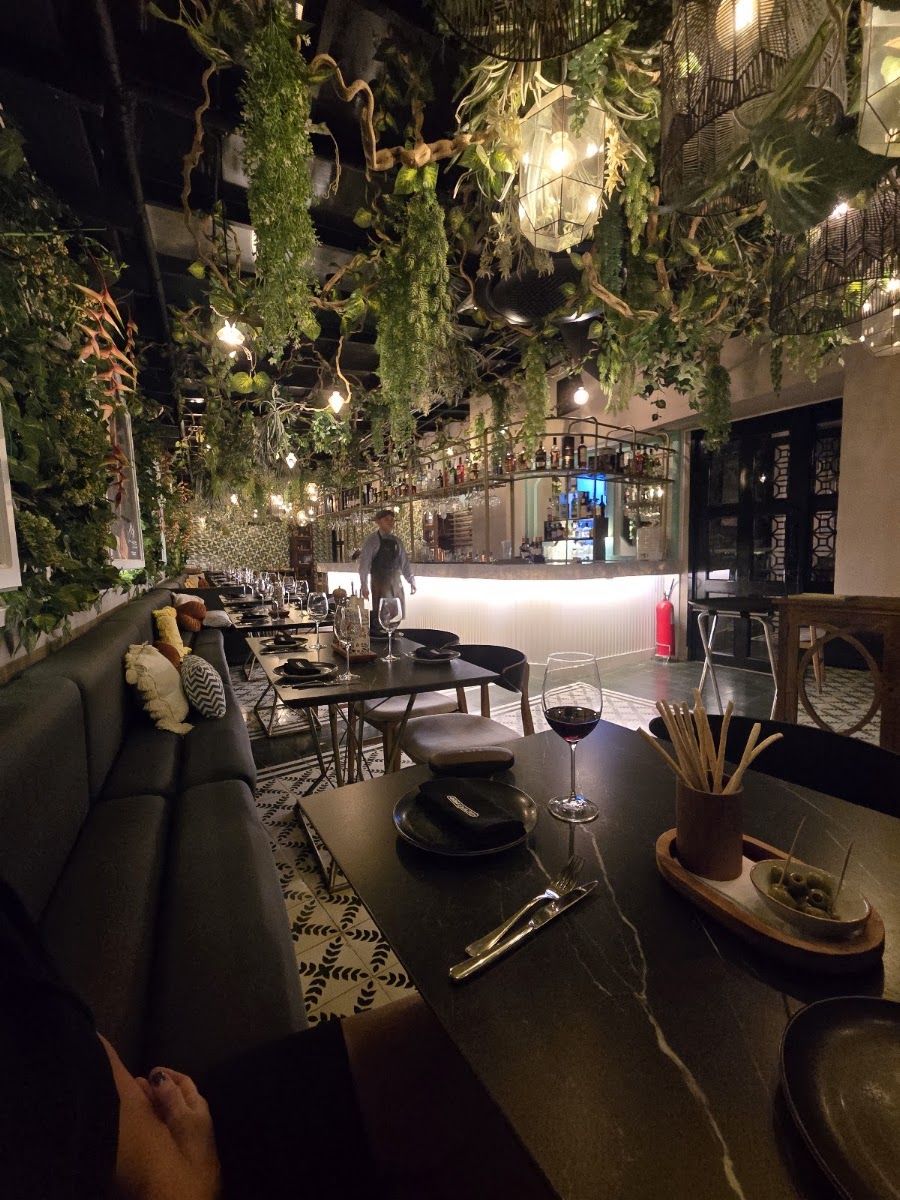 Salón con plantas colgantes — Don Ignazio Restaurante Barranquilla