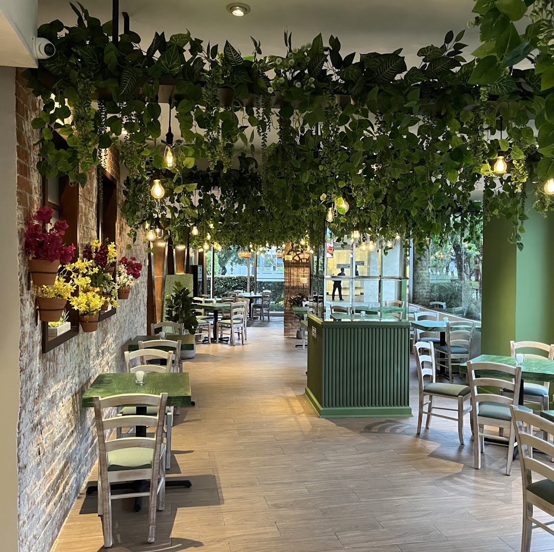 Salón con plantas colgantes — Gianni's