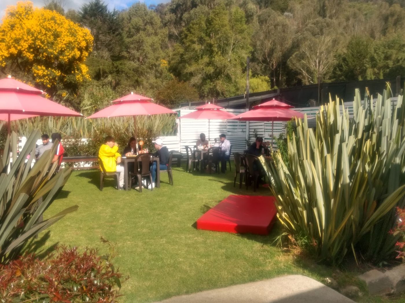 Jardín al aire libre — Juan Karnes Parrilla