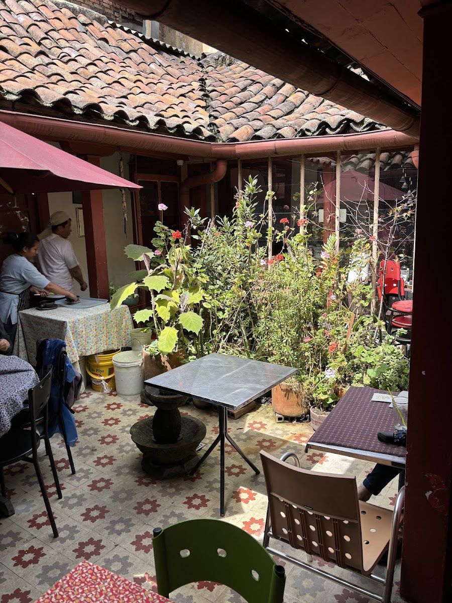 Patio con jardín — Maria Candelaria