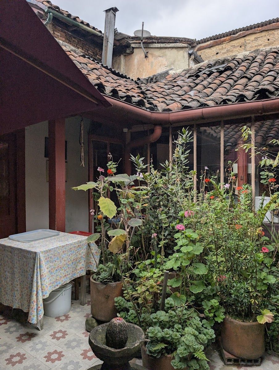 Jardín interior en Maria Candelaria