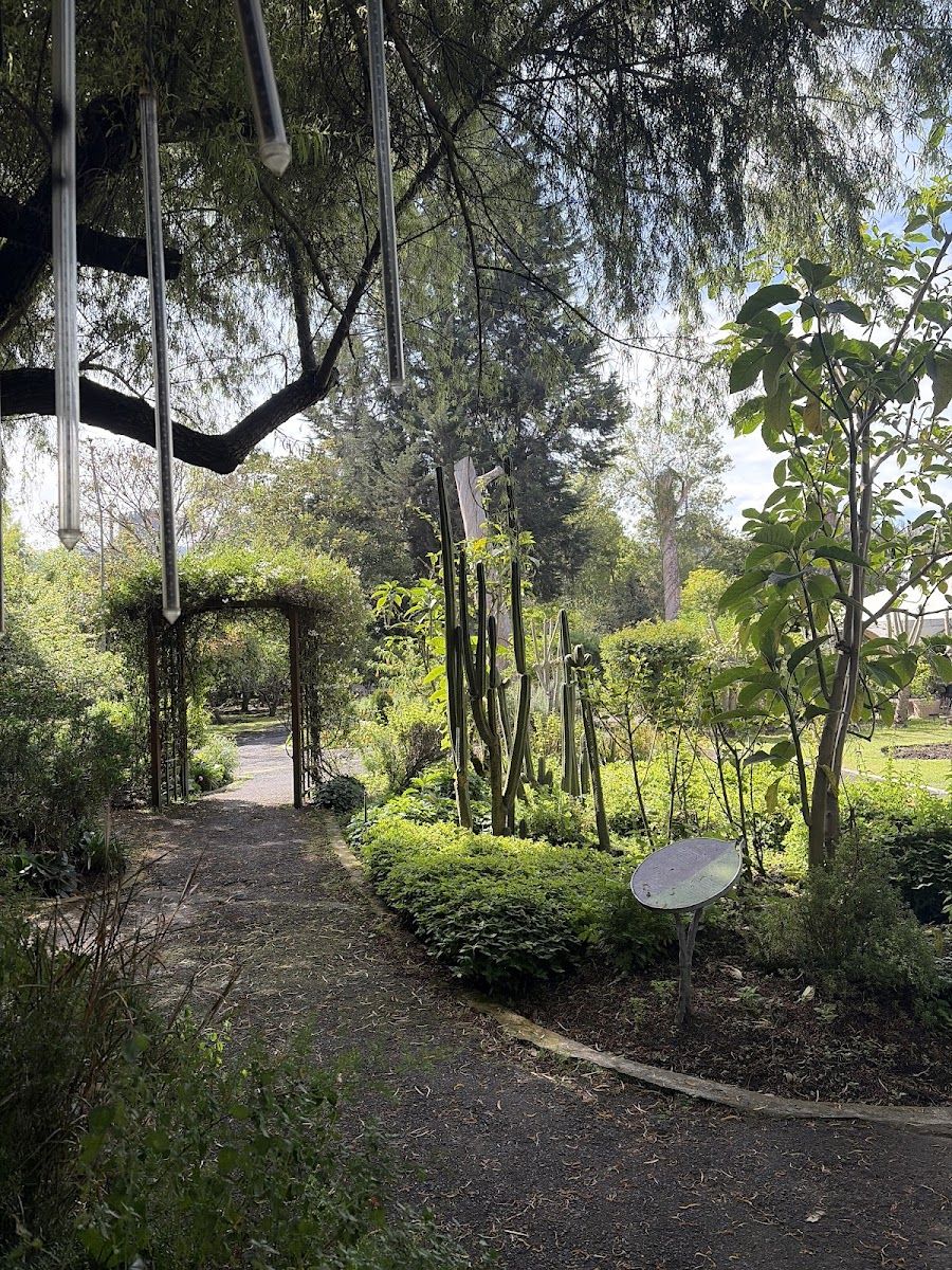 Entre la naturaleza en Restaurante Botánico - Quito