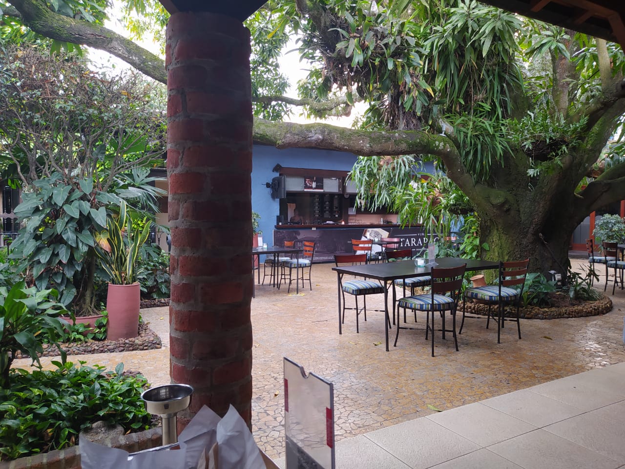Patio con árbol centenario — Restaurante La Carreta