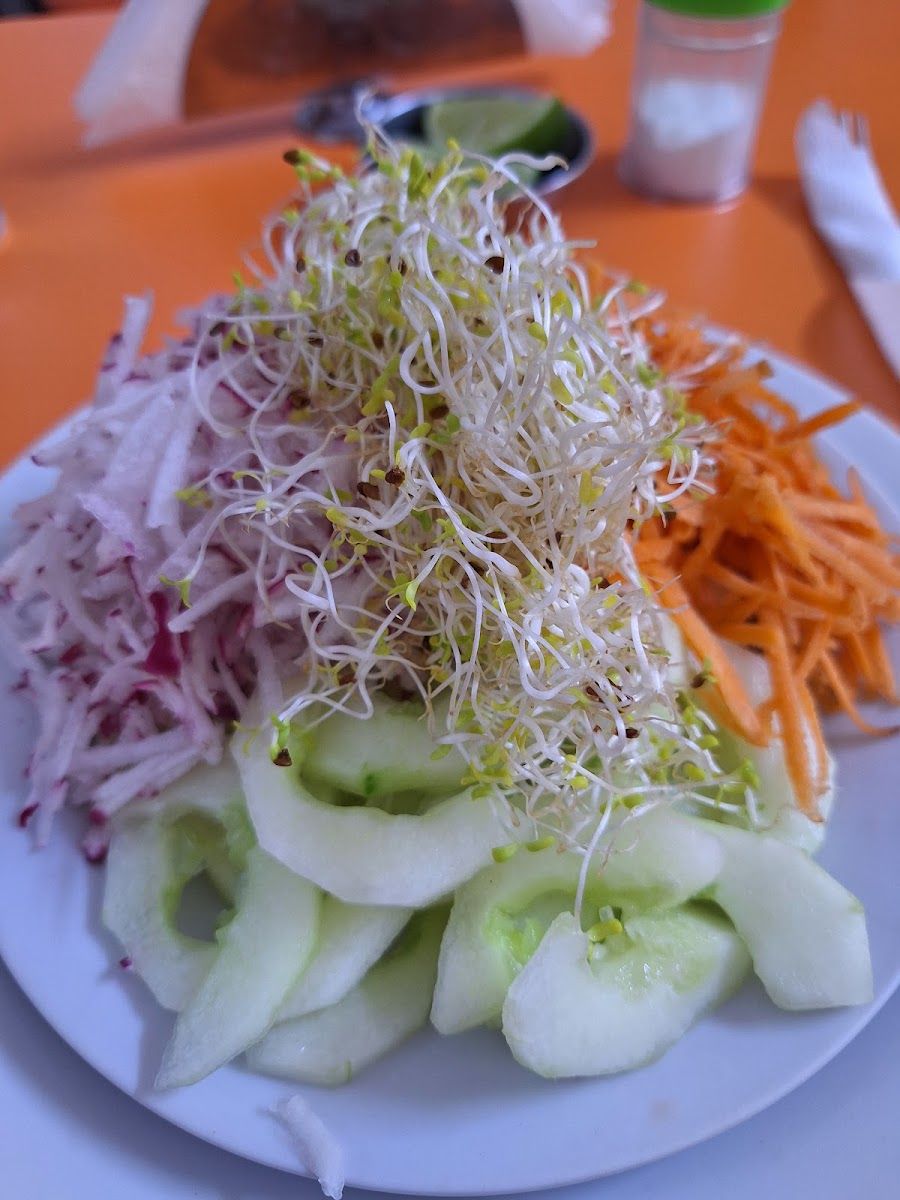 Ensalada con germinados — Restaurante Vegetariano Fuente Natural