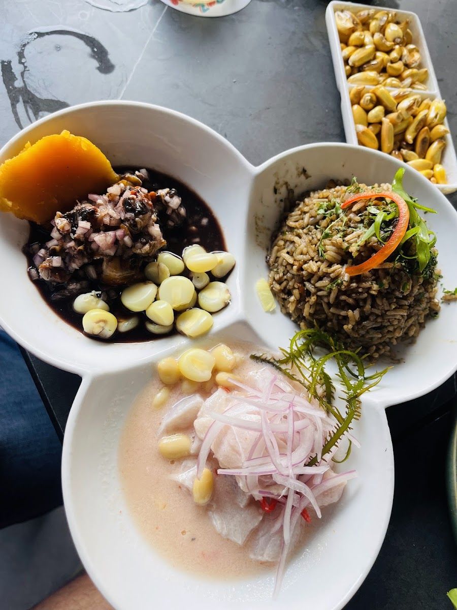 Ceviches y conchas — TUYA PEZ Barra cevichera - antes: Jose & Juanita - LINCE