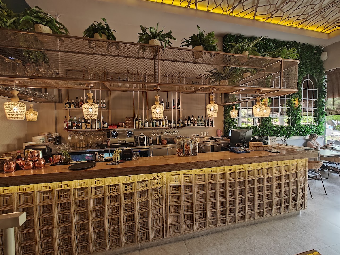Barra con plantas colgantes — Zaitún Caribe